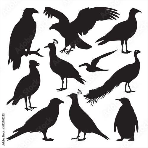 set of vector icon bird silhouette	
