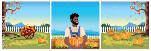 Vegetable garden with ripe pumpkins, farmer harvesting, pumpkins gathered in an old wheelbarrow. Set of three square vector illustrations for Thanksgiving.