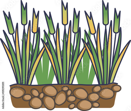 Illustration of rye cover crops growing in soil, symbolizing sustainable agriculture.
