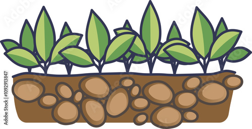 Illustration of cover crops with soil layers, symbolizing soil health and erosion control.