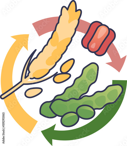 Illustration of crop rotation with wheat, legumes, and peppers, symbolizing sustainable agriculture.