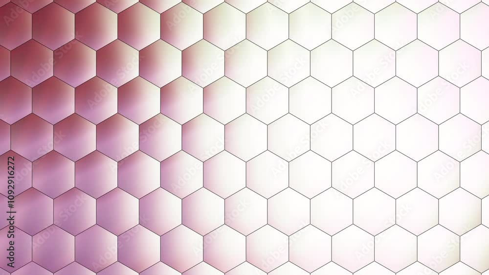 Scale, Pattern Animation Video 1 Scale, Pattern Animation Video 1