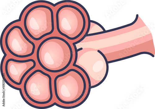 Illustration of healthy alveoli showing air sacs and bronchiole.