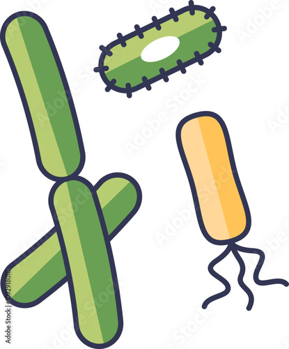Illustration of various bacteria types, highlighting diversity in microorganism structures.