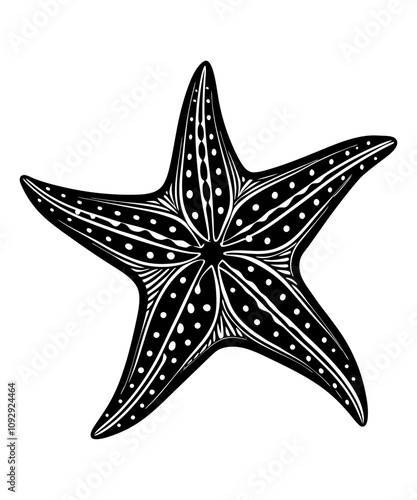 starfish silhouette vector illustration