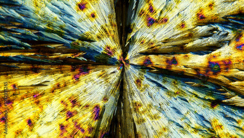 Beautiful formed of crystals Paracetamolum solution under a microscope, the effect of polarization allows you to see different color shades. photo