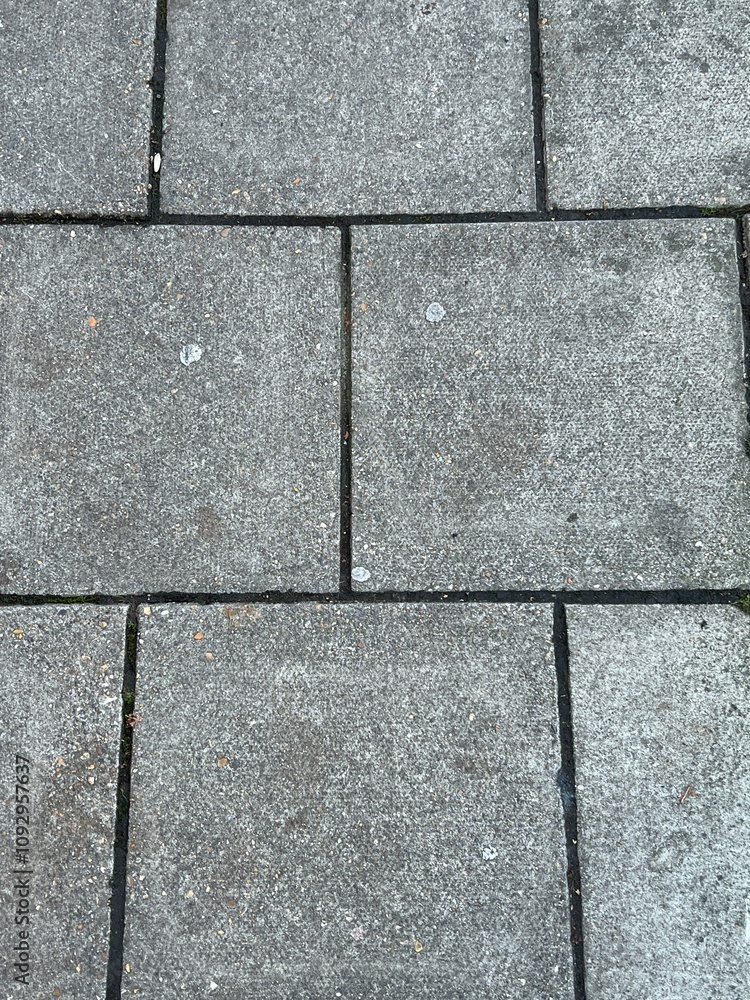 Obraz premium Pavers on a sidewlak