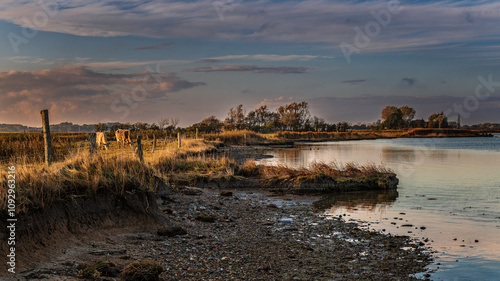 An der Schlei