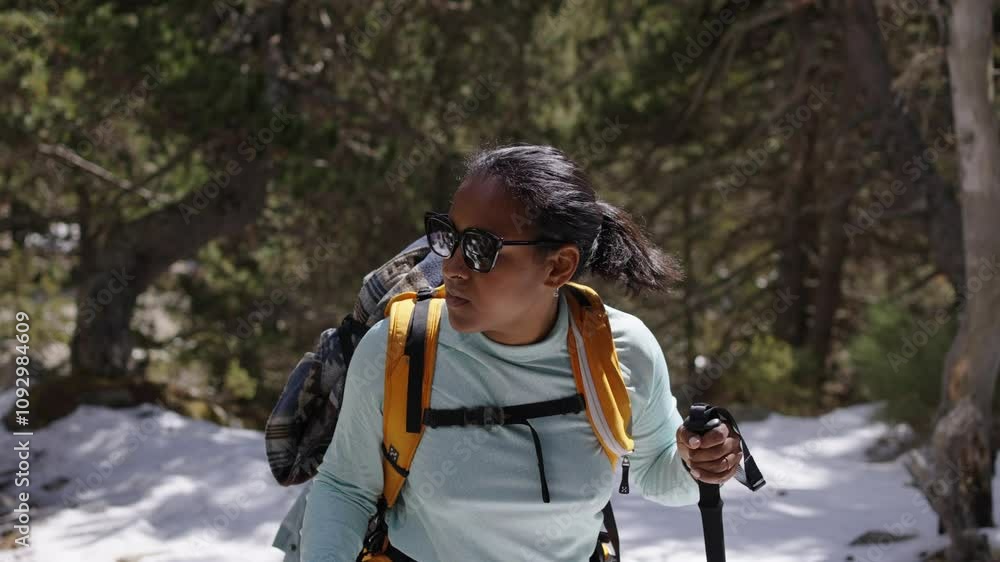 Black Woman Hiking in Snowy Forest with Walking Poles, Enjoying Winter Adventure in Nature, Active Lifestyle outdoors. Video with copy space. Black Woman Hiking in Snowy Forest with Walking Poles, Enjoying Winter Adventure in Nature, Active Lifestyle outdoors. Video with copy space.