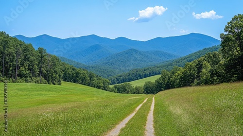 Serene Mountain Landscape with Lush Green Fields and Scenic Pathway Leading into an Expansive Blue Sky at Midday