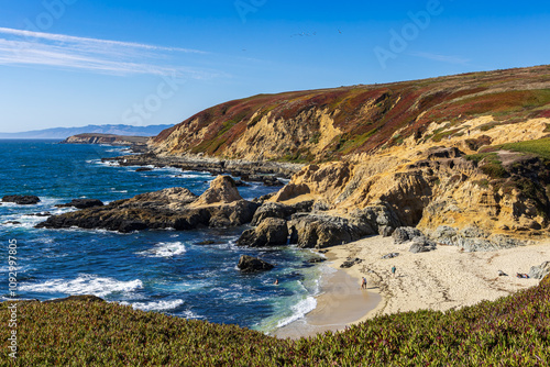 Panorama of Bodega Bay beach in Sonoma County in California, USA, in a pretty summer day