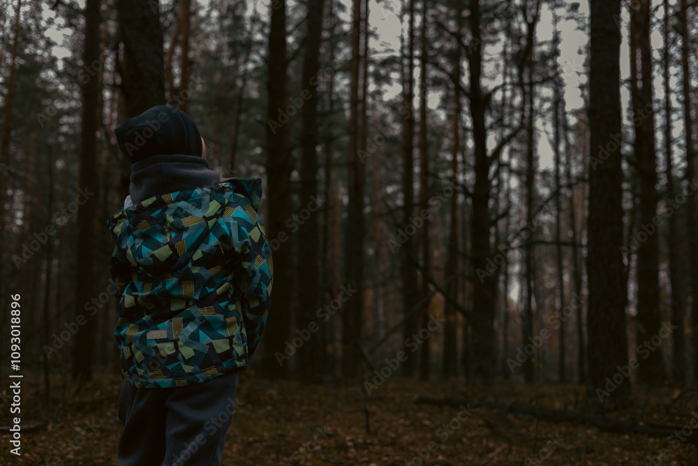 Fototapeta premium A lost child calls for help in a dark autumn forest, representing the spirit of exploration despite fear and danger. A child lost in the forest looks into the darkening forest.