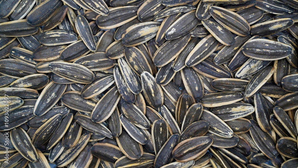 A close-up image of sunflower seeds with their black shells as a background, texture, backdrop, banner, or pattern. Full frame of sunflower seeds A close-up image of sunflower seeds with their black shells as a background, texture, backdrop, banner, or pattern. Full frame of sunflower seeds