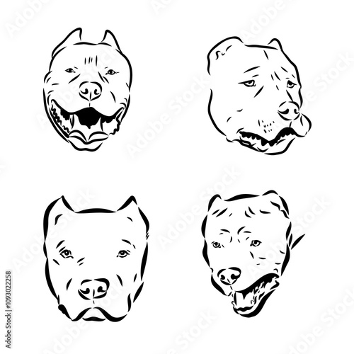 hand drawn sketch American bandog