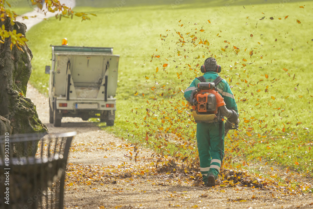 Back view of a public worker using leaf blower to clean path in a park from fallen leaves. Autumn scene in park, maintenance of paths, utility vehicle visible