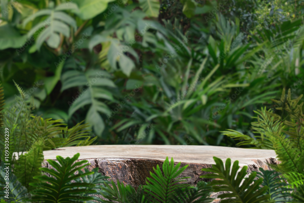 Wood table top podium floor in outdoors tropical garden forest blurred green leaf plant nature background.Natural product placement pedestal stand display,jungle paradise concept. Wood table top podium floor in outdoors tropical garden forest blurred green leaf plant nature background.Natural product placement pedestal stand display,jungle paradise concept.
