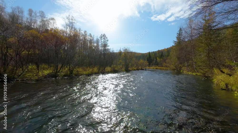 Aerial photography with a drone flying over a river in a national park, glare from the sun Aerial photography with a drone flying over a river in a national park, glare from the sun