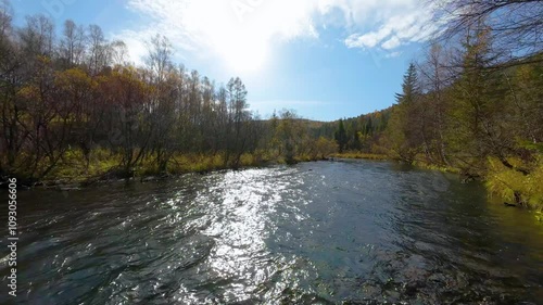 Aerial photography with a drone flying over a river in a national park, glare from the sun