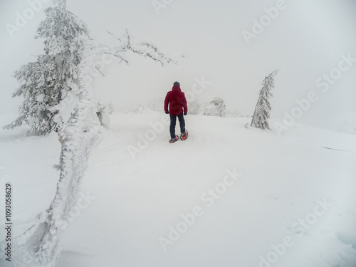 Winter trekking. Person walking on foggy snow capped mountains