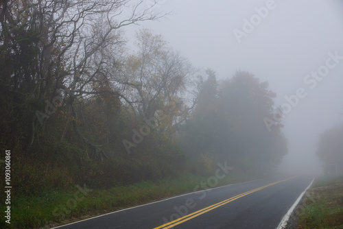 Road on a foggy day, Watermill, New York