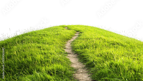 green, grassy hill with a dirt path, isolated on a white background.