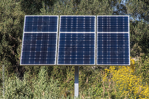 solar panels in agarden photo