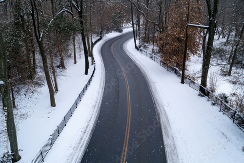 This image features a winding road flanked by towering trees and a blanket of snow, capturing the serene beauty of a winter landscape that's both inviting and tranquil.