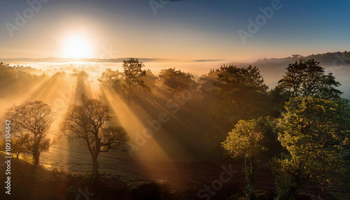 Dramatic sunbeams break through the trees during sunrise, casting golden rays across a misty countryside landscape.