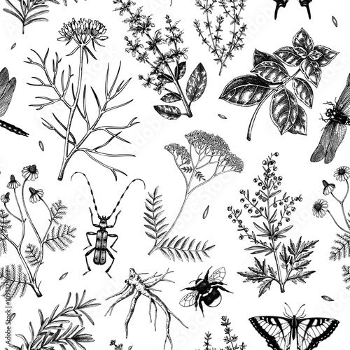 Apothecary plant background. Medicinal herbs seamless pattern. Insects hand-drawn vector illustration. NOT AI generated