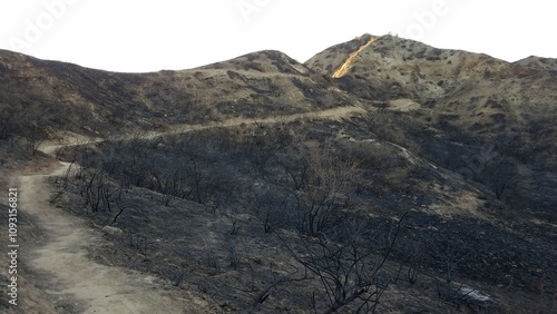 Trail Through Burnt Area of Towsley Canyon Park, near Santa Clarita, CA photo