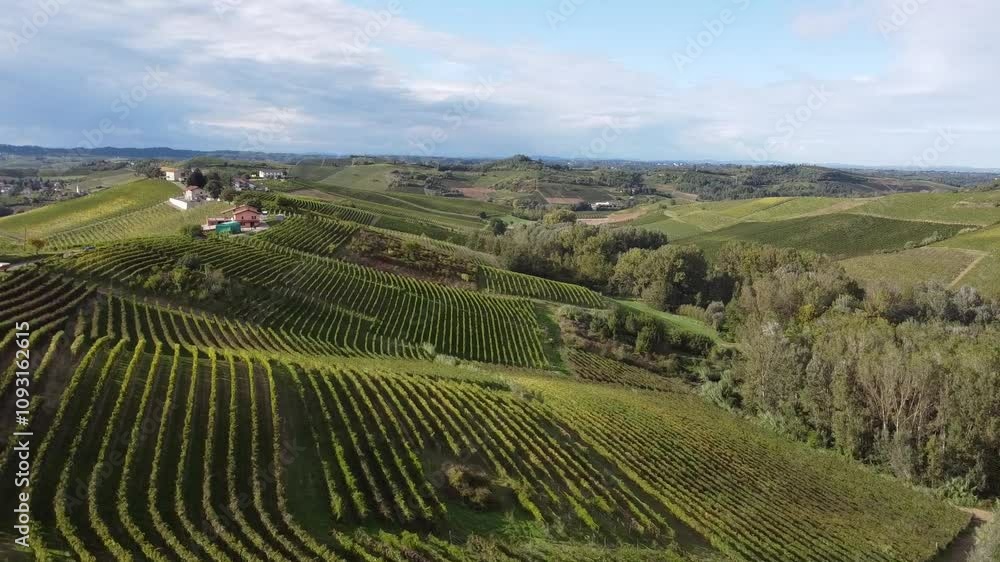 Monferrato vineyards from the drone - Casalotto location - Mombaruzzo - Asti - Piedmont - Italy Monferrato vineyards from the drone - Casalotto location - Mombaruzzo - Asti - Piedmont - Italy