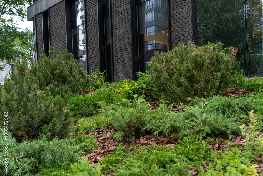 Vibrant greenery of shrubs and ground cover plants complements a contemporary building, showcasing urban landscaping techniques and design Vibrant greenery of shrubs and ground cover plants complements a contemporary building, showcasing urban landscaping techniques and design