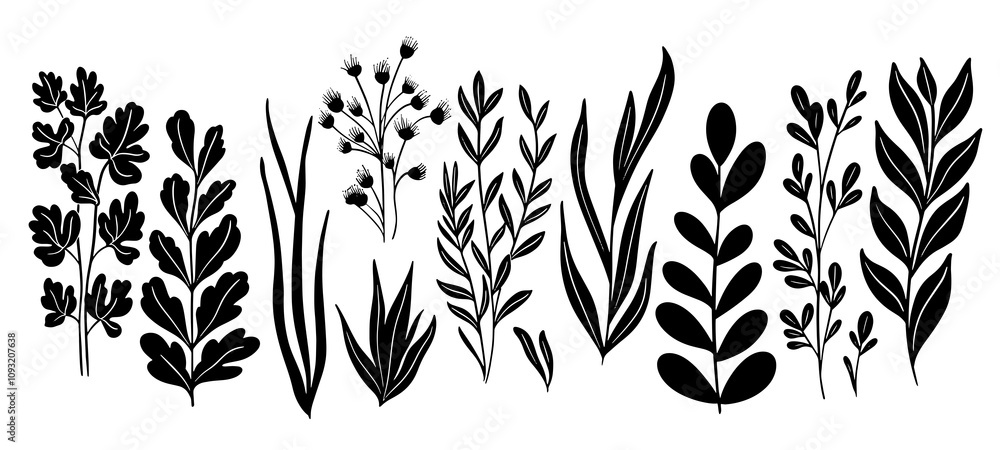 Sketch Flower Botany Collection. Dry, Wild Branches. Black and White with Line Art on White Background. Isolated botanical foliage. Botanical garden. Hand Drawn Sketch Flower Botany Collection. Dry, Wild Branches. Black and White with Line Art on White Background. Isolated botanical foliage. Botanical garden. Hand Drawn