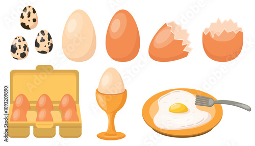 Chicken eggs set, quail eggs, fried or raw, broken eggshell, poached egg, package of eggs in flat style.