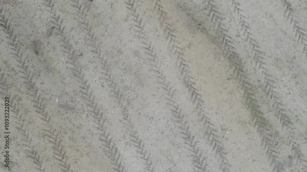 This image shows discernible tire tread marks on the concrete surface, highlighting the unique patterns left behind This image shows discernible tire tread marks on the concrete surface, highlighting the unique patterns left behind