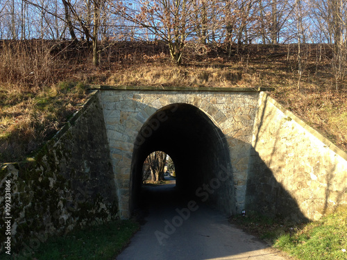 train underpass in the country photo