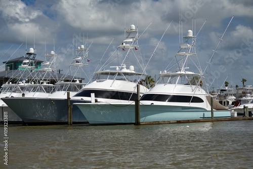 Sport Fishing Yachts in Marina South Texas, fishing, marlin, tuna, outdoors, wildlife, gulf, ocean  photo