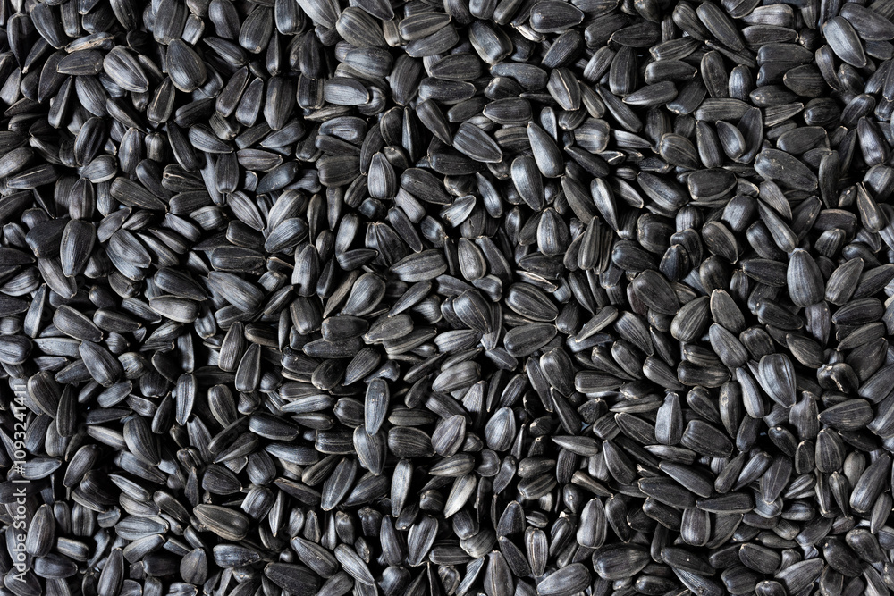 Sunflower seeds, close-up of roasted seeds, top view Sunflower seeds, close-up of roasted seeds, top view