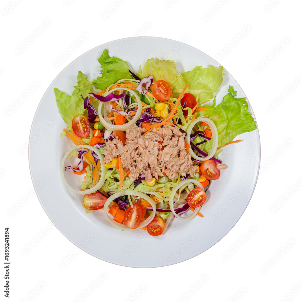A colorful salad featuring fresh greens, cherry tomatoes, onions, and tuna, elegantly arranged on a white plate. A colorful salad featuring fresh greens, cherry tomatoes, onions, and tuna, elegantly arranged on a white plate.