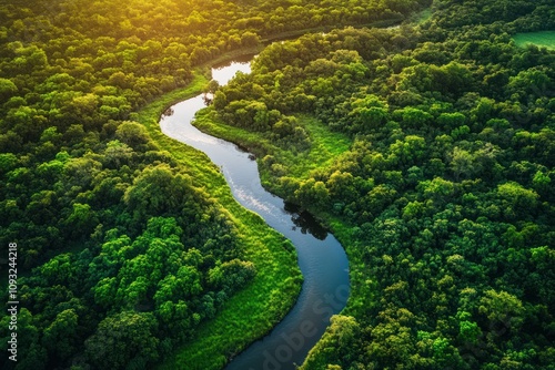 Aerial View Of A River Winding Through Lush Green Forest