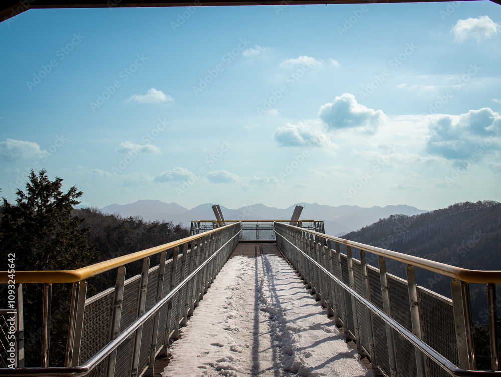 Obraz premium 축령산의 겨울