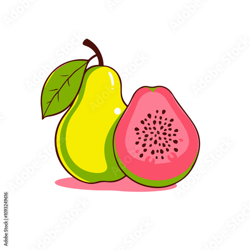 Guave Vector illustration fruit Guave photo