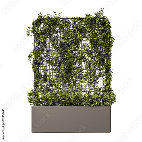 A plant is growing in a planter