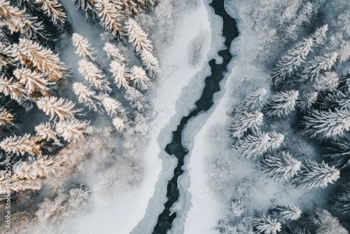 Aerial View Of A Frozen River Between Snow Covered Pine Trees