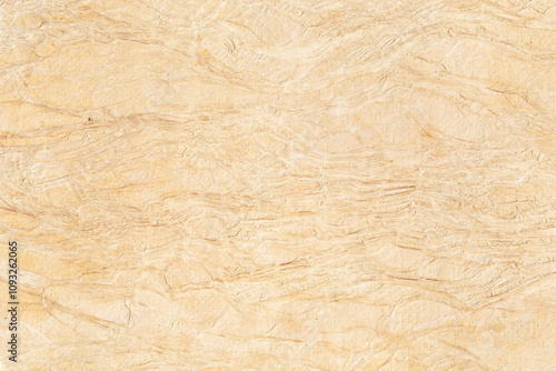 Wallpaper Mural Brown mulberry paper background texture Torontodigital.ca