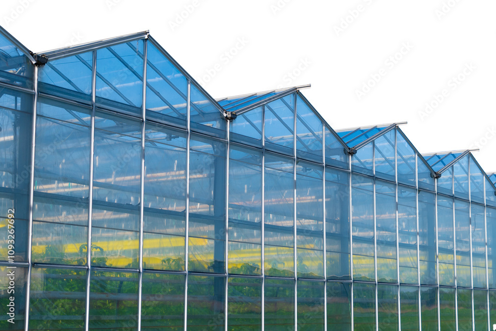 Greenhouse. Isolated object. Greenhouse. Isolated object.