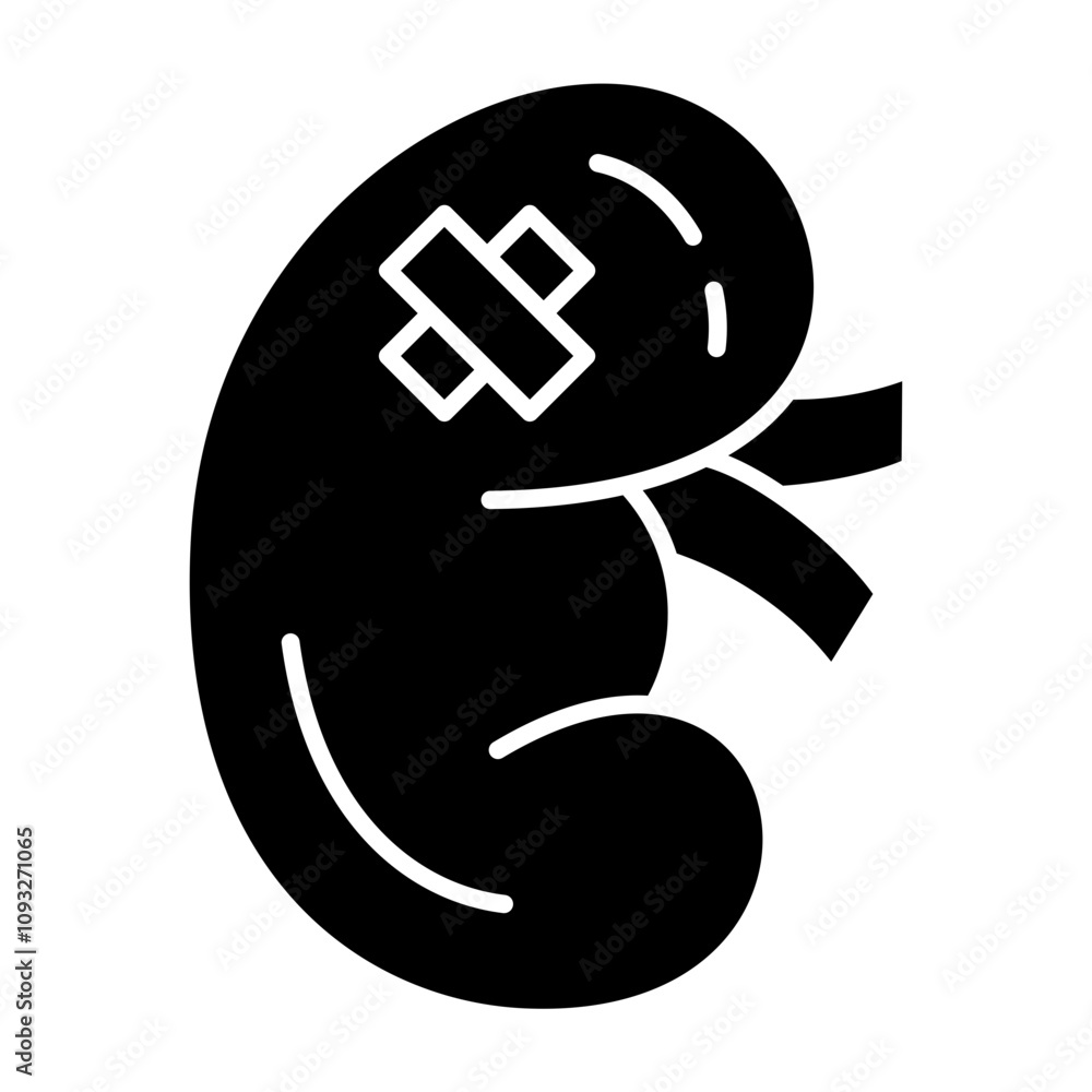 Kidney Disaese icon Kidney Disaese icon
