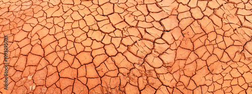 Nature background of cracked dry lands. Natural texture of soil with cracks. Broken clay surface of barren dryland wasteland close-up. Full frame to terrain