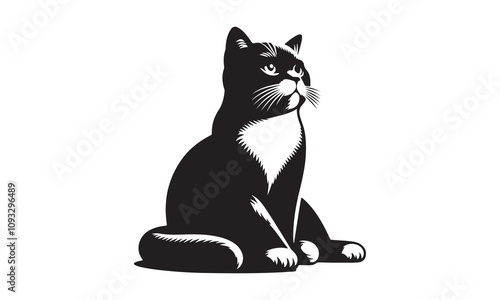 Golden Retriever, Collie mixed breed dog hoping to be adopted