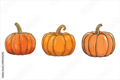 Pumpkin Bundle Set, Vegetable Pumpkin Vector Illustration